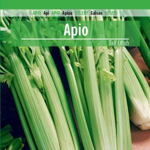 Apio TALL UTAH 52-70
