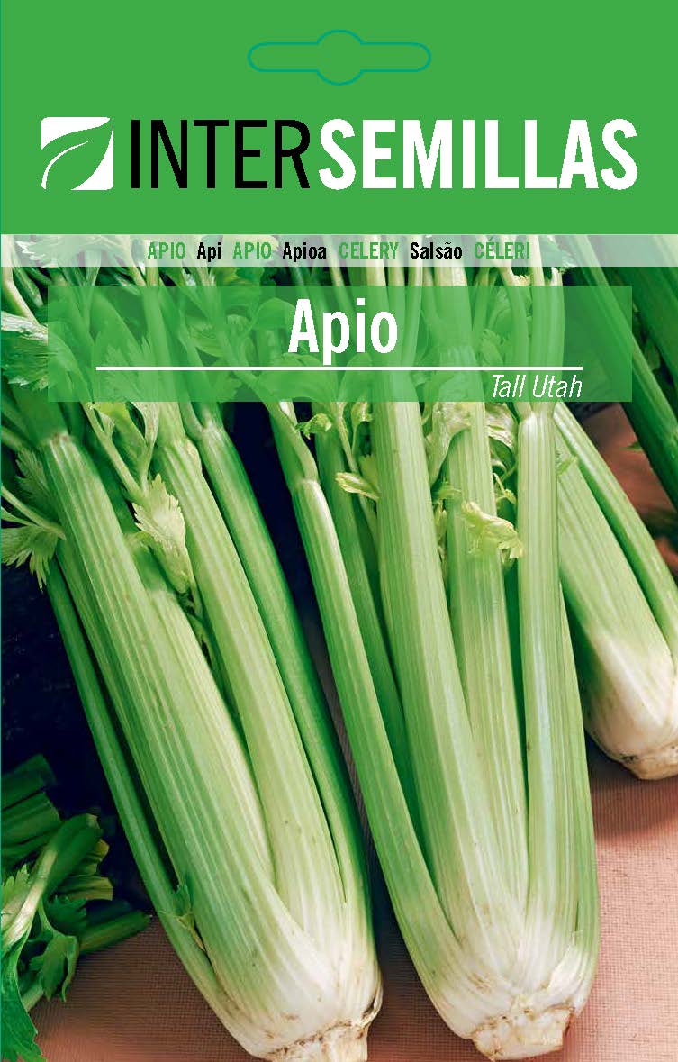 Apio TALL UTAH 52-70