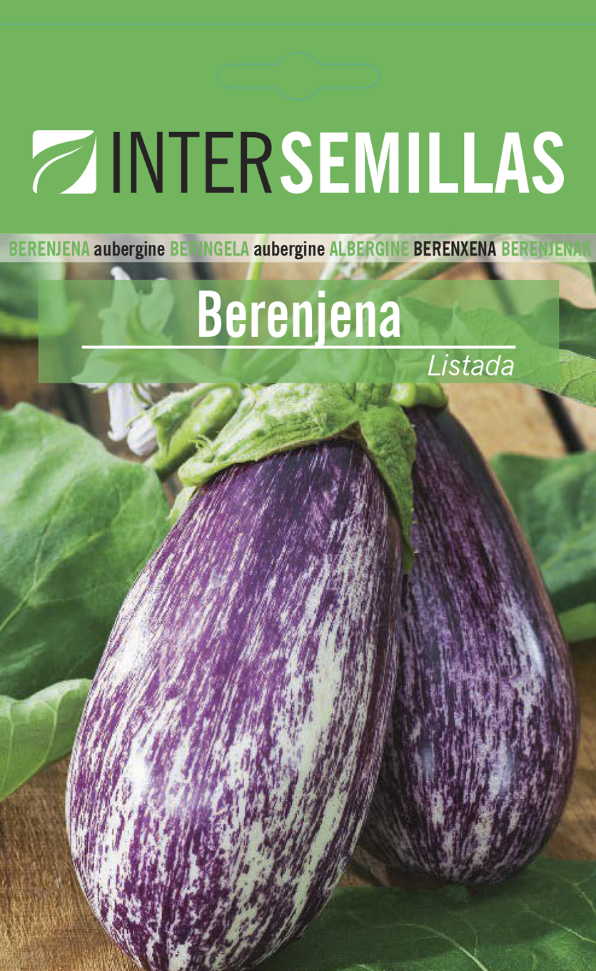BERENJENA LISTADA DE GANDÍA