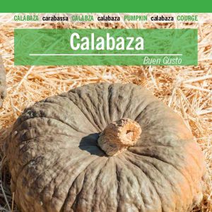CALABAZA BUEN GUSTO