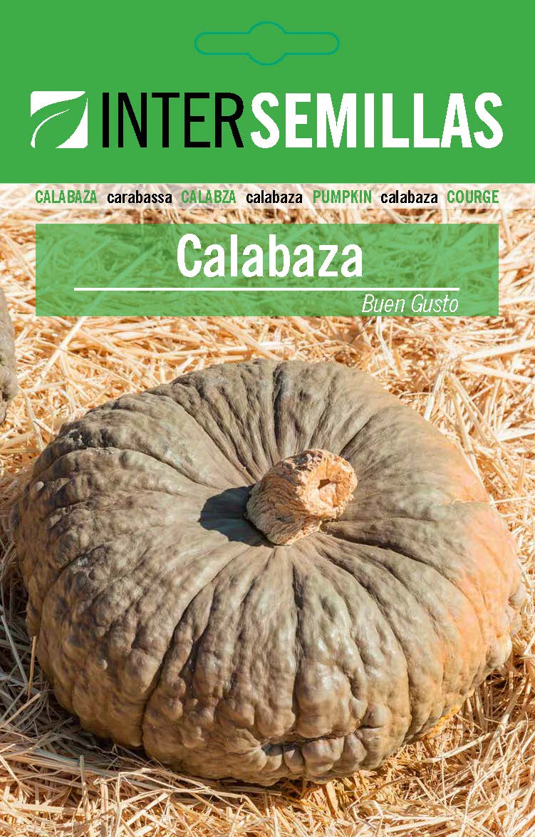 CALABAZA BUEN GUSTO