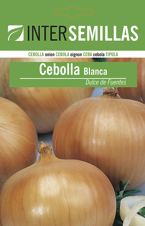 CEBOLLA DÍA LARGO DULCE DE FUENTES