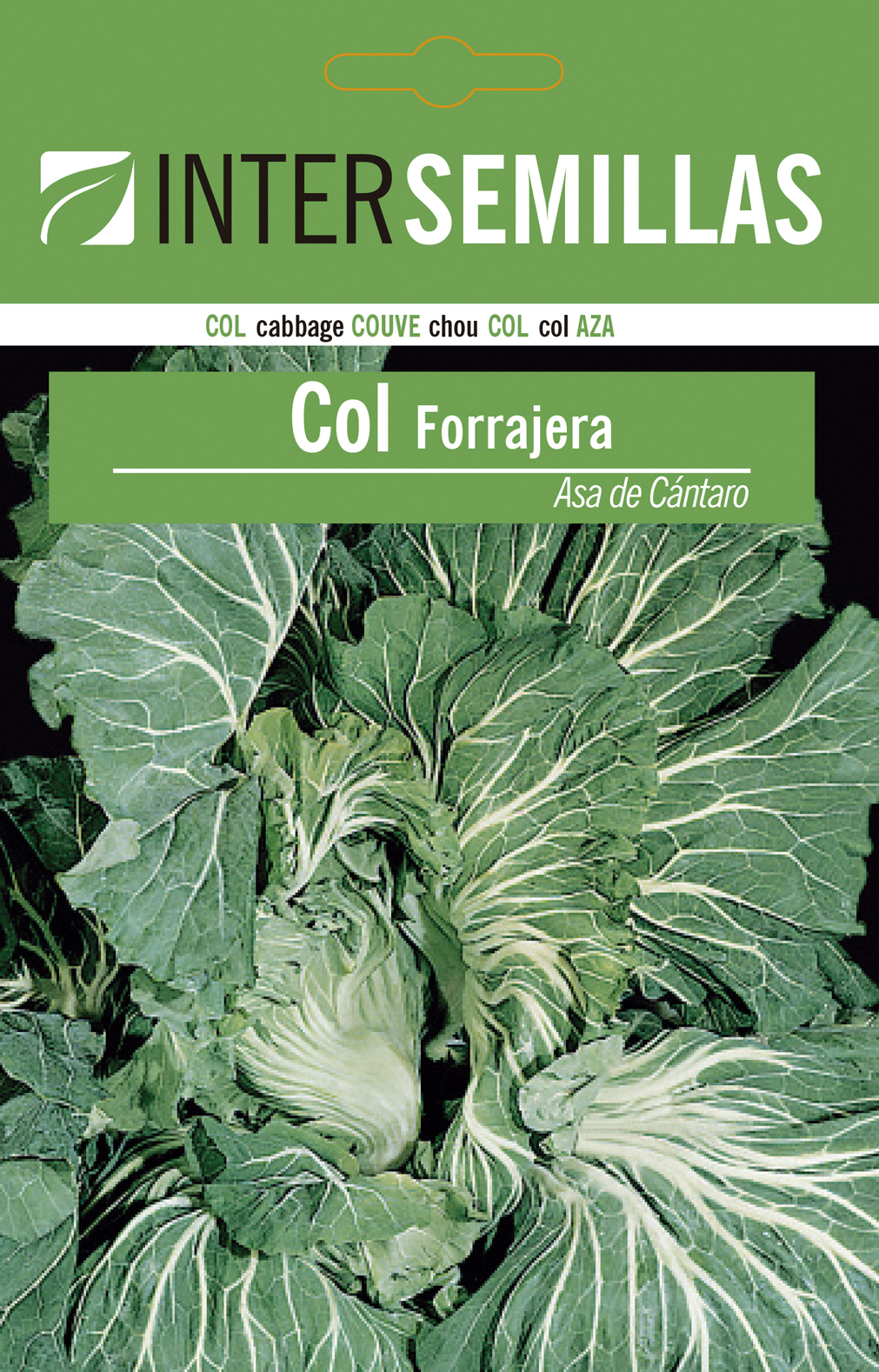 COL FORRAJERA ASA DE CÁNTARO