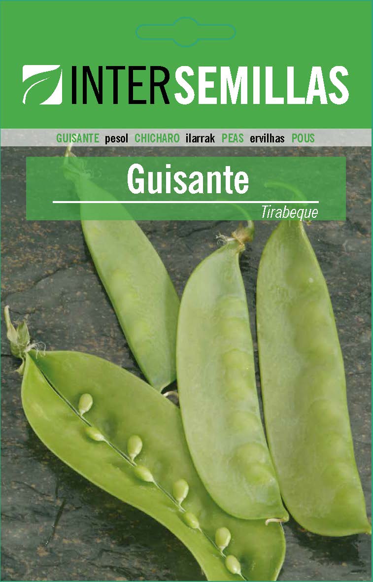 GUISANTE MATA ALTA TIRABEQUE