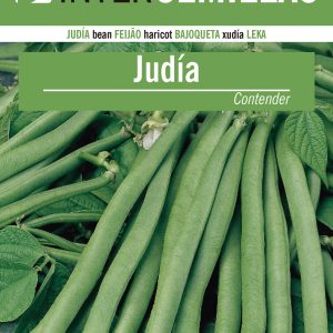 JUDÍA MATA BAJA MERCADO FRESCO CONTENDER