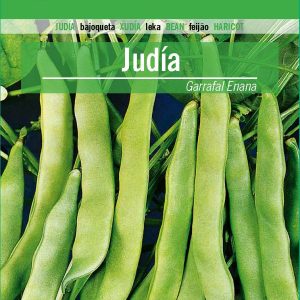 JUDÍA MATA BAJA MERCADO FRESCO GARAFAL ENANA