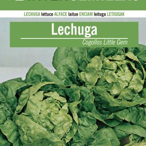 LECHUGA TIPO BABY LITTLE GEM