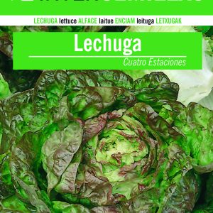 LECHUGA TIPO BATAVIA MARAVILLA CUATRO ESTACIONES