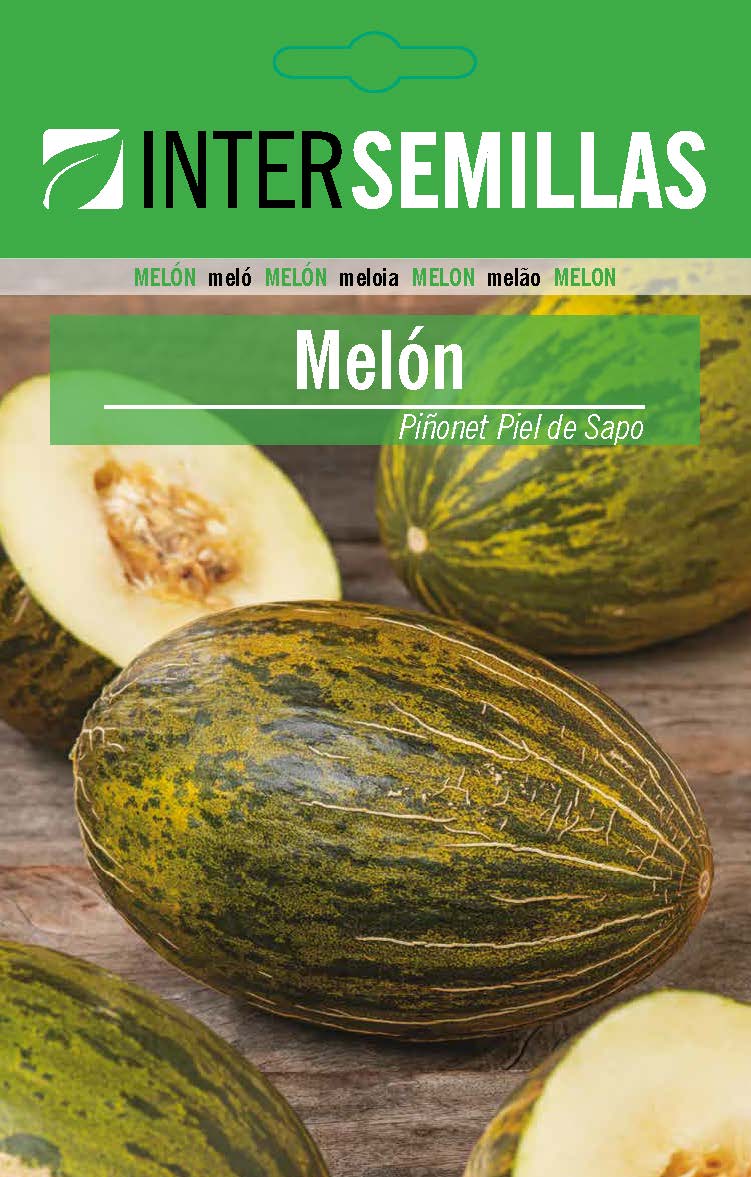 MELÓN PIÑONET PIEL DE SAPO