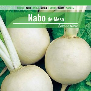 NABO DE MESA BOLA DE NIEVE