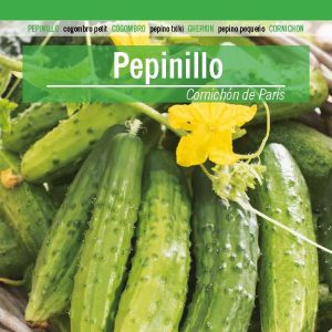 PEPINILLO CORNICHÓN DE PARÍS