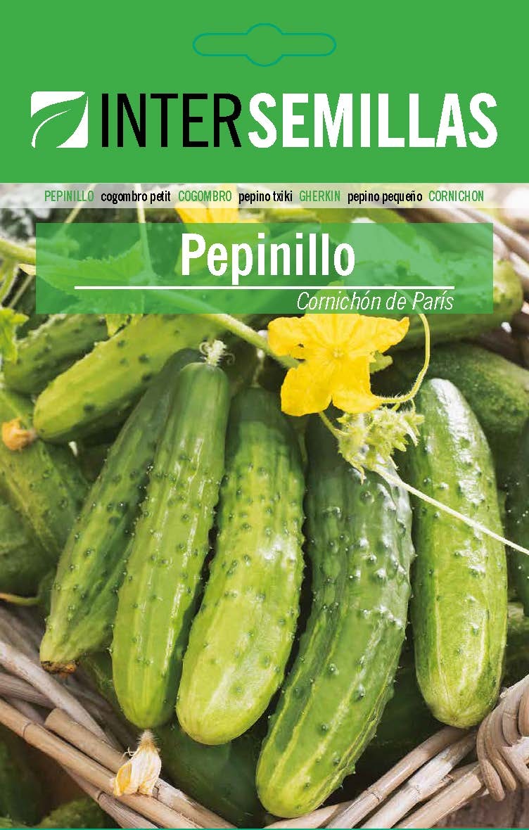 PEPINILLO CORNICHÓN DE PARÍS