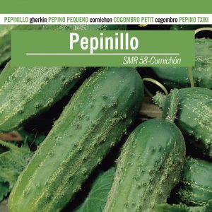 PEPINILLO CORNICHÓN DE PARÍS