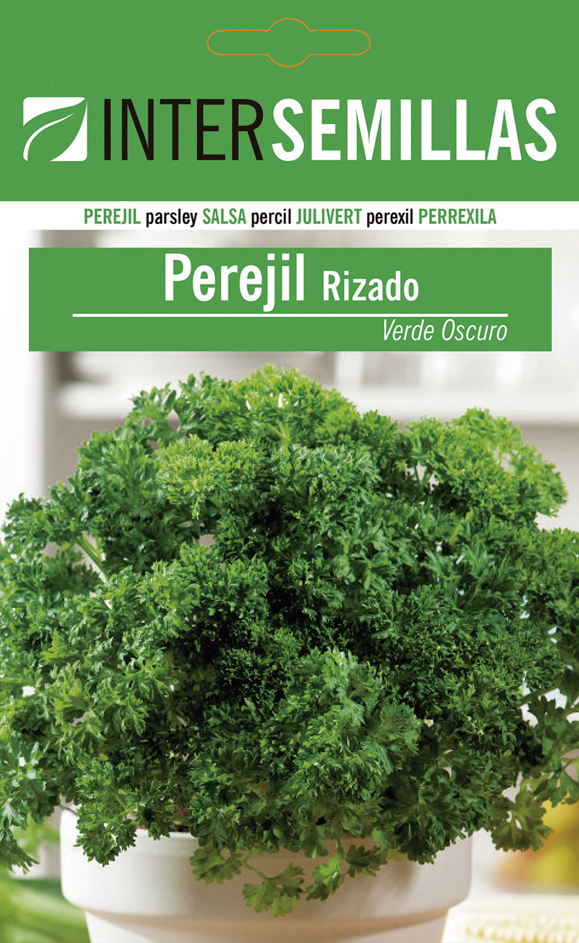 PEREJIL RIZADO VERDE OSCURO