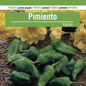 PIMIENTO PADRÓN