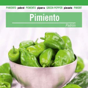 PIMIENTO PADRÓN
