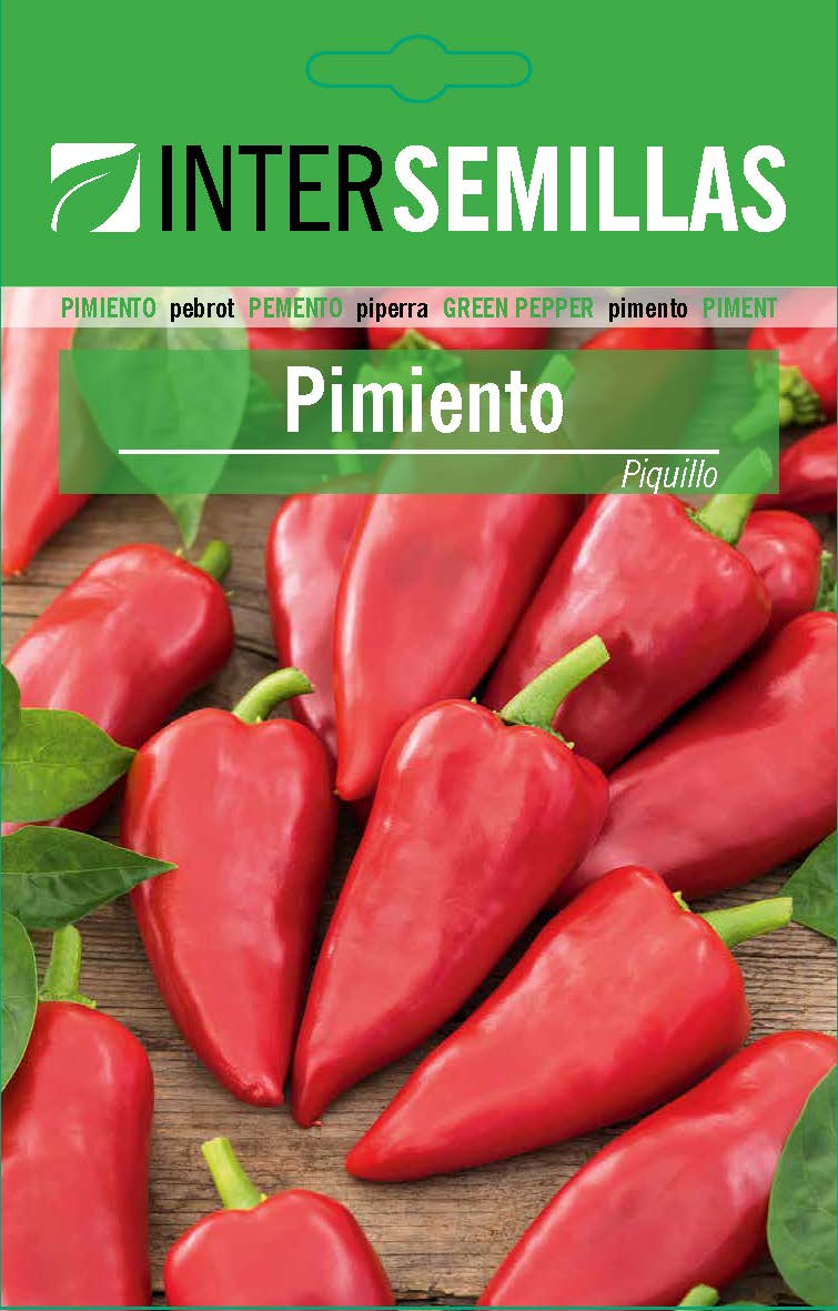 PIMIENTO PIQUILLO