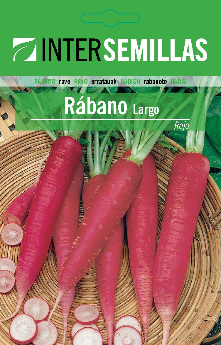 RÁBANO MEDIO LARGO ROJO