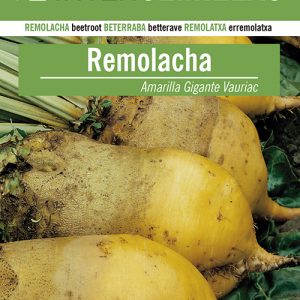 REMOLACHA FORRAJERA AMARILLA VAURIAC