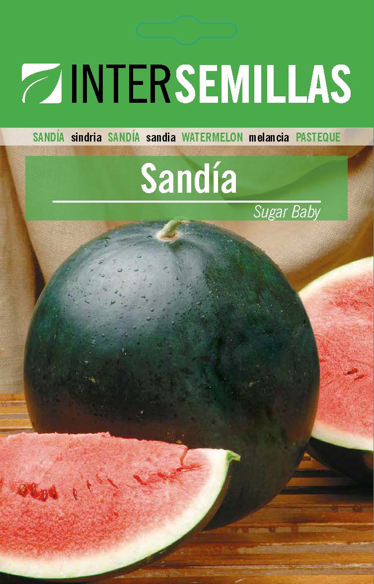 SANDÍA CON SEMILLAS SUGAR BABY