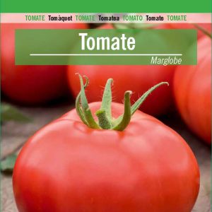 TOMATE INDETERMINADO MARGLOBE