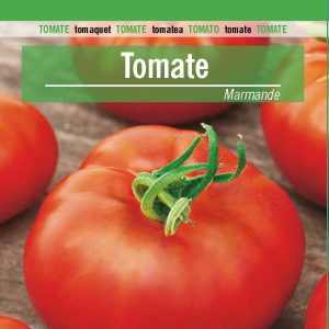 TOMATE INDETERMINADO MARMANDE