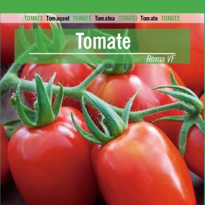 TOMATE DE INDUSTRIA ROMA VF