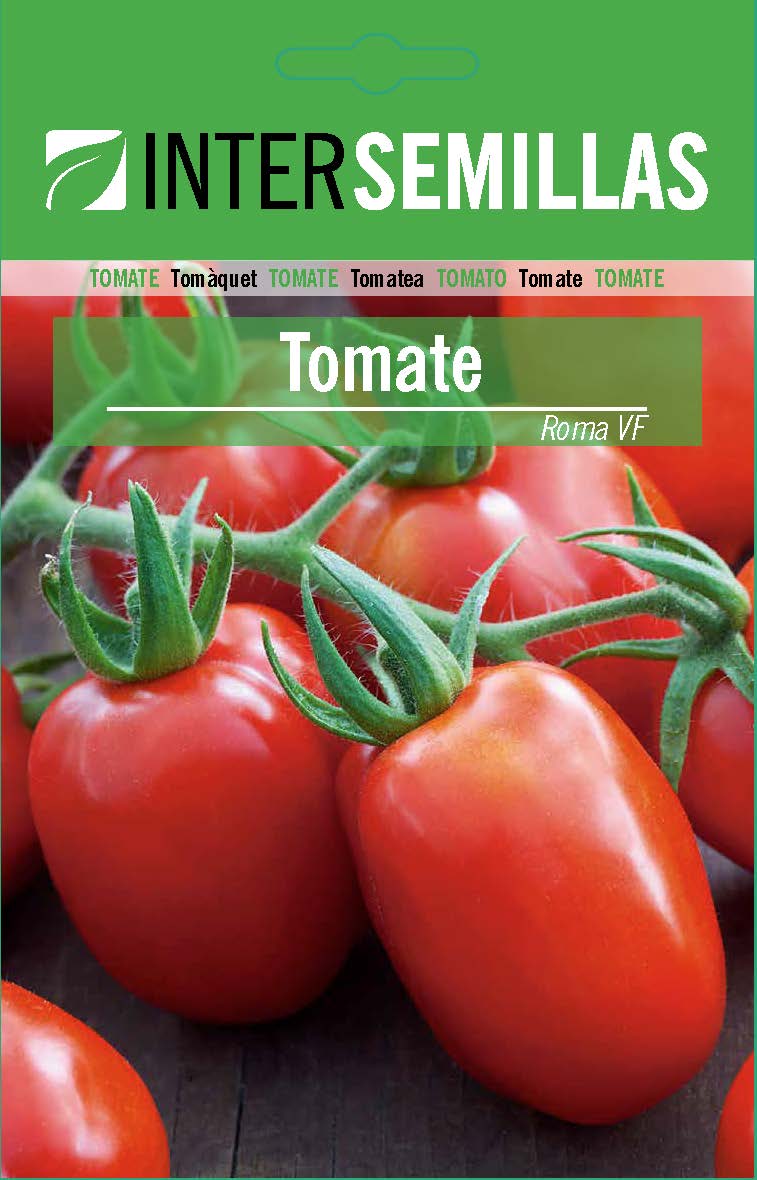 TOMATE DE INDUSTRIA ROMA VF