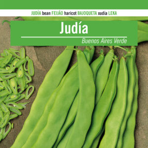 JUDIA Buenos Aires Verde