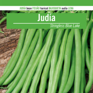 JUDIA Stringless Blue Lake S7