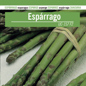 ESPARRAGO UC-157F2