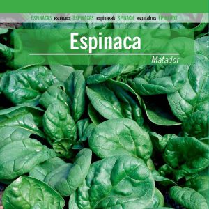 ESPINACA MATADOR