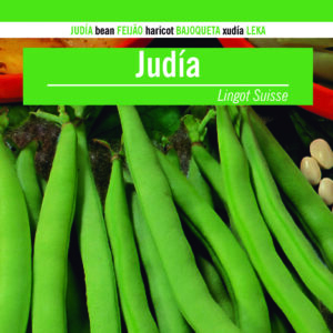 JUDIA Lingot
