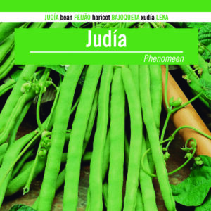 JUDIA Phenomeen