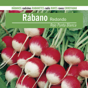 RABANO Redondo Rojo Punta Blanca