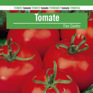 TOMATE Tres Cantos