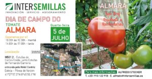 dia de campo do tomate