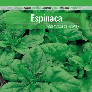 ESPINACA MONSTRUOSA DE VIROFLAY