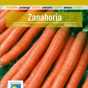 ZANAHORIA Nantesa Ecológico