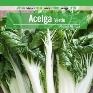 ACELGA Verde Penca Blanca