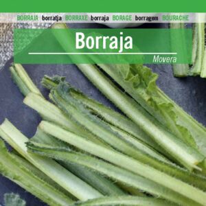 BORRAJA Movera