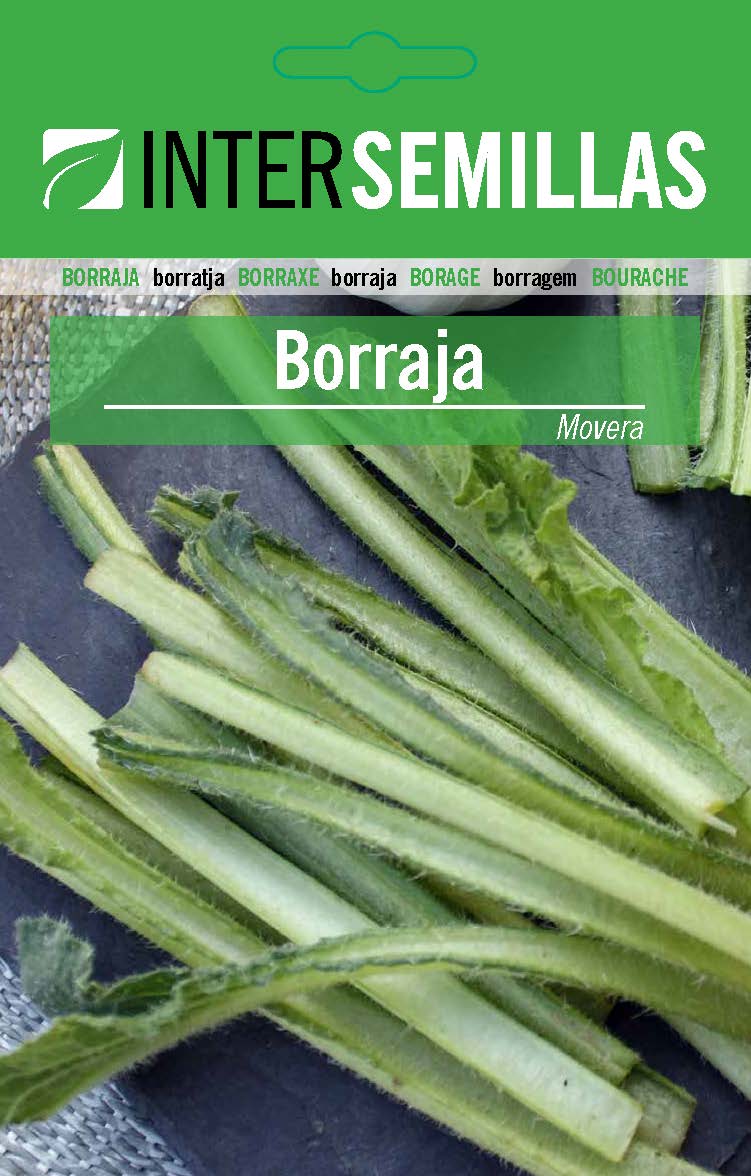 BORRAJA Movera
