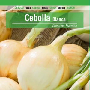 CEBOLLA Dulce de Fuentes