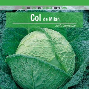COL de Milán Siete Semanas