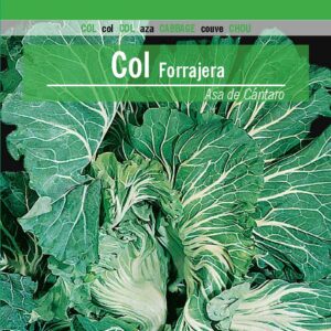 COL FORRAJERA Asa de Cántaro