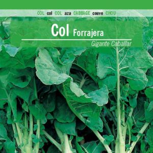COL FORRAJERA Gigante de Caballar