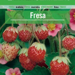 FRESA Fragaria vesca