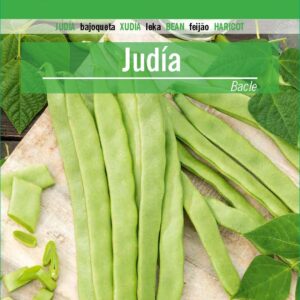 JUDIA Bacle