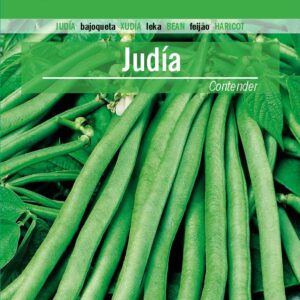 JUDIA Contender