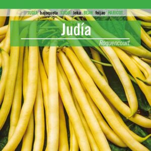 JUDIA Ronquencourt